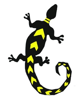 BUCK016 Lizard